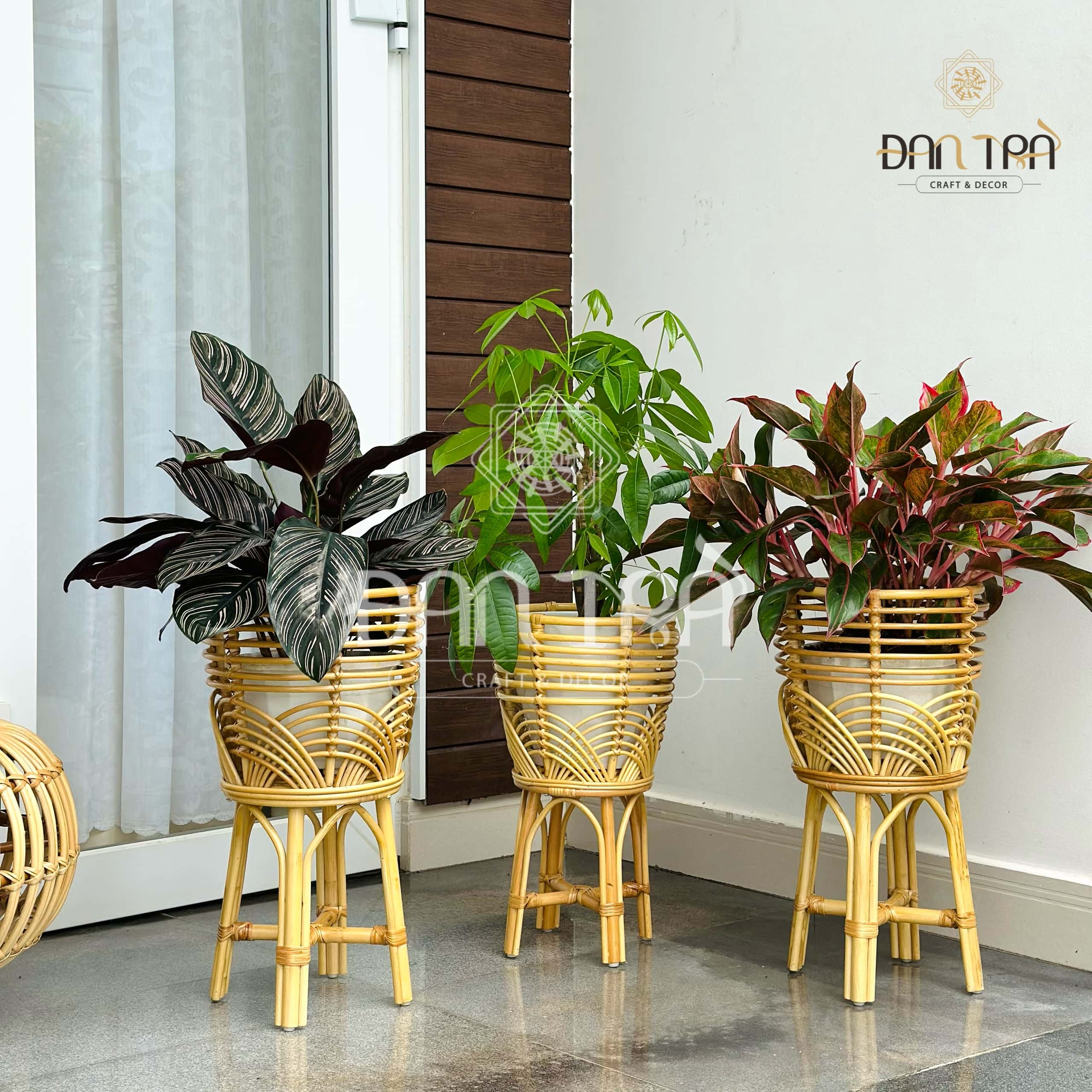 Kệ Mây Đựng Cây Đan Trà - Kệ Mây Trang Trí Đan Trà- Kệ Mây Decor Không Gian Xanh- Đan Trà Decor