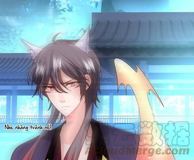 hồ tiên hung bạo chapter 135 9