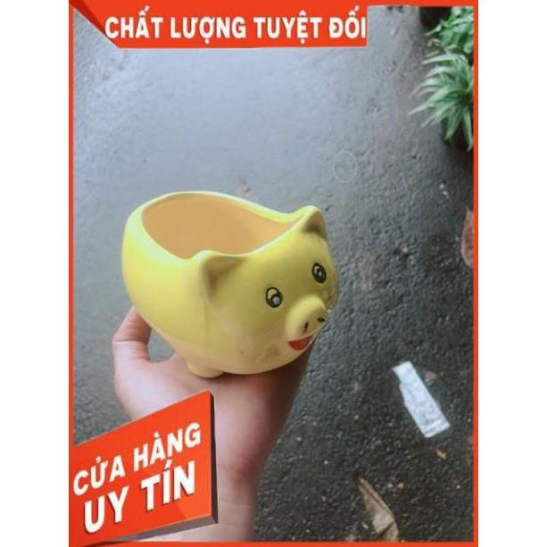 Chậu Trồng Cây