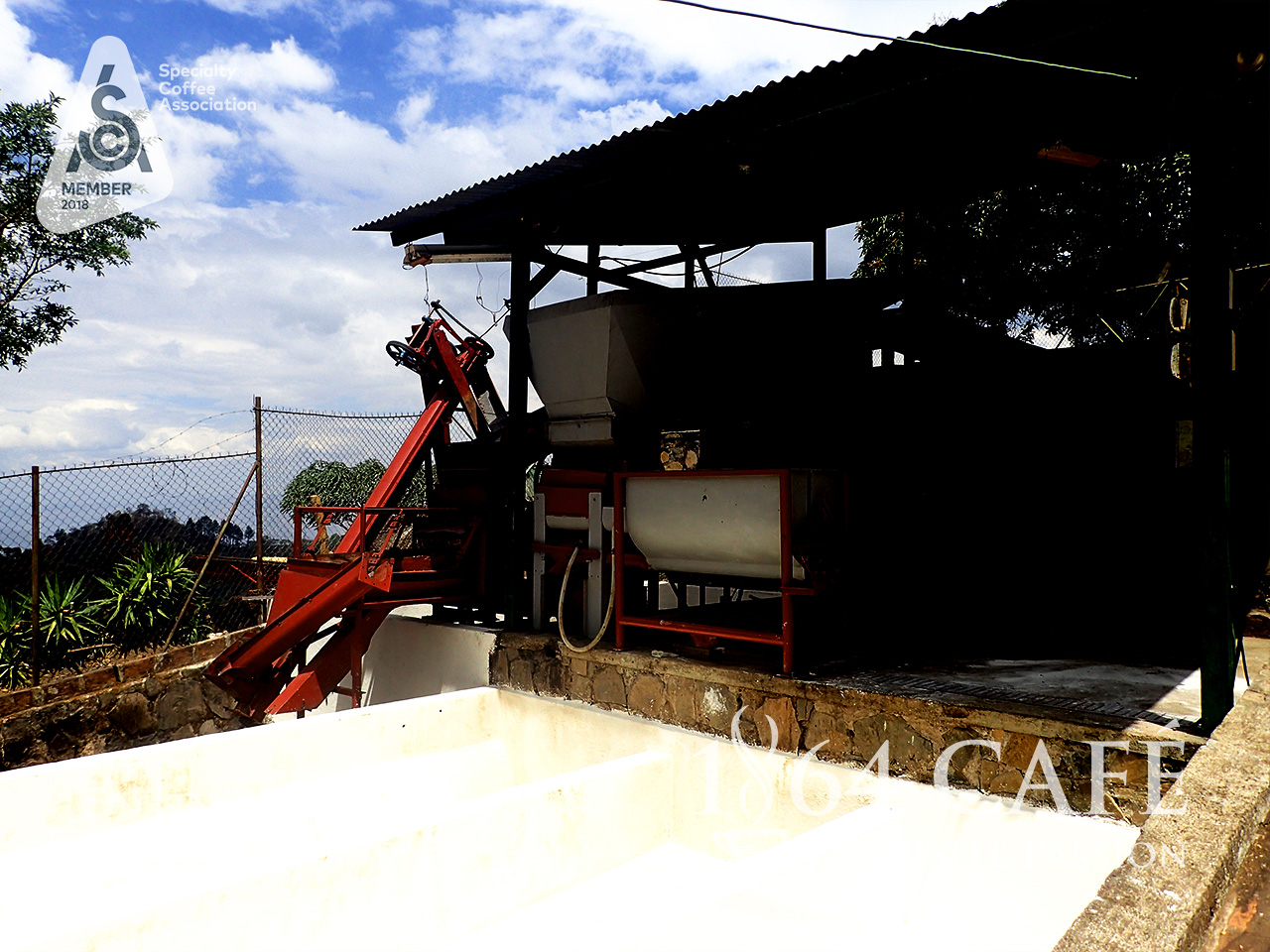Cà phê hảo hạng tinh khiết không tẩm không độn El Salvador Providencia hạt khối lượng tịnh 220g - 1864 CAFÉ