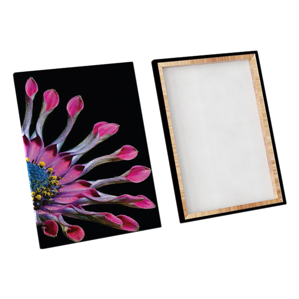 Bộ 2 Tranh Canvas "Nhất Hương"  W145