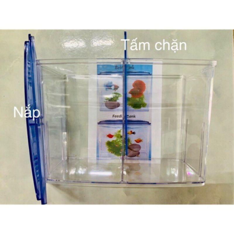 Bể nhựa nuôi cá betta 18x14x10cm