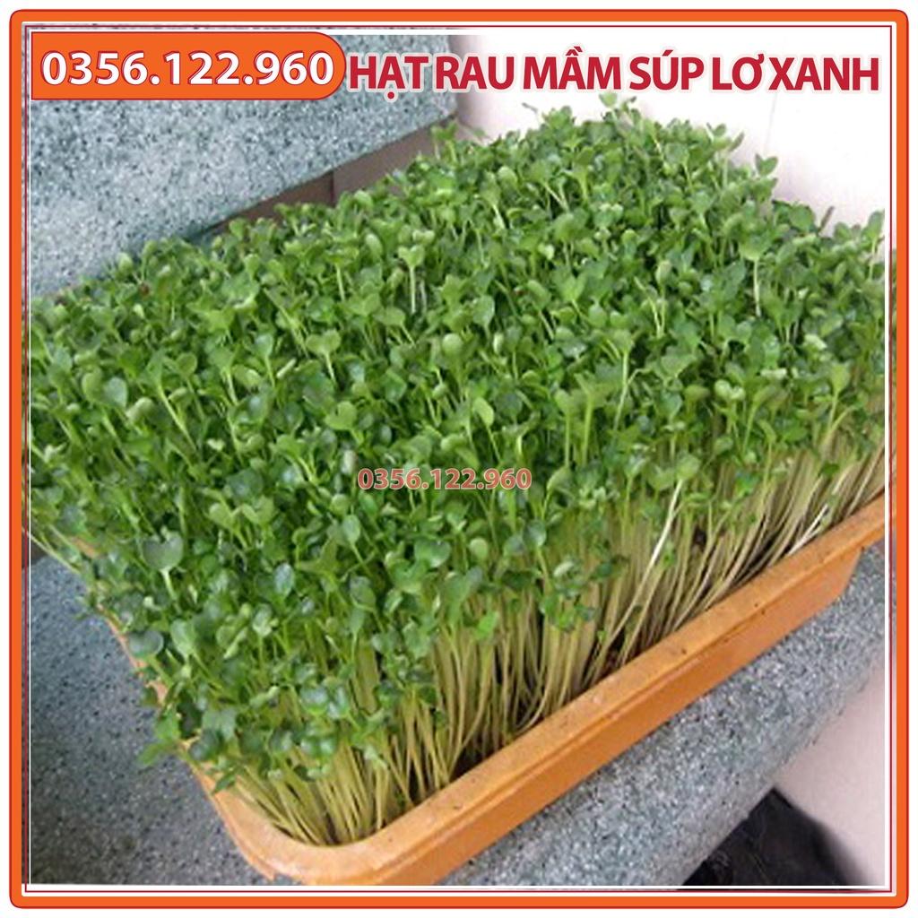Hạt rau mầm rau súp lơ xanh - gói 20g