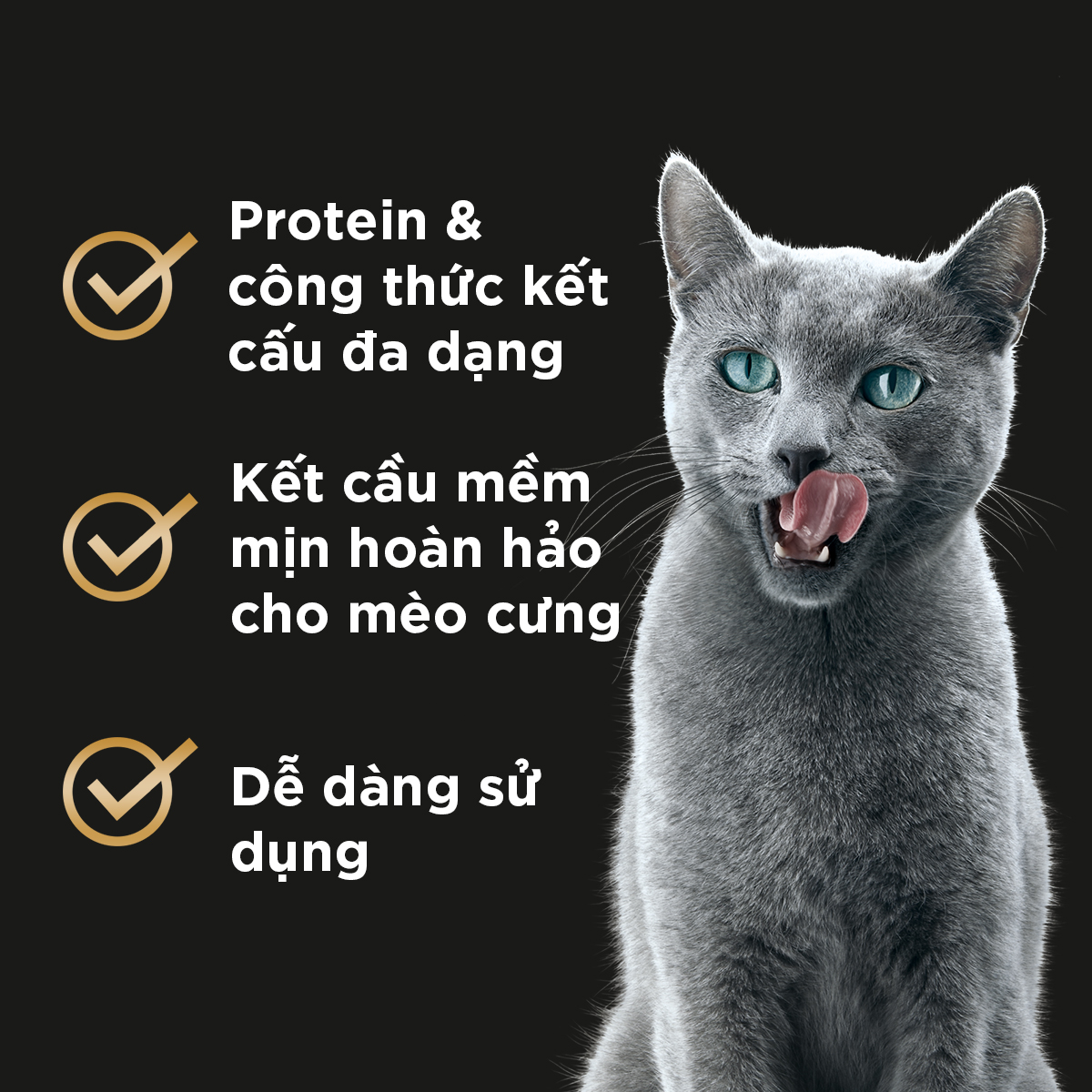 SHEBA Pate cho mèo sành ăn - Thức ăn cho mèo trưởng thành dạng sốt, 70g, 24 gói