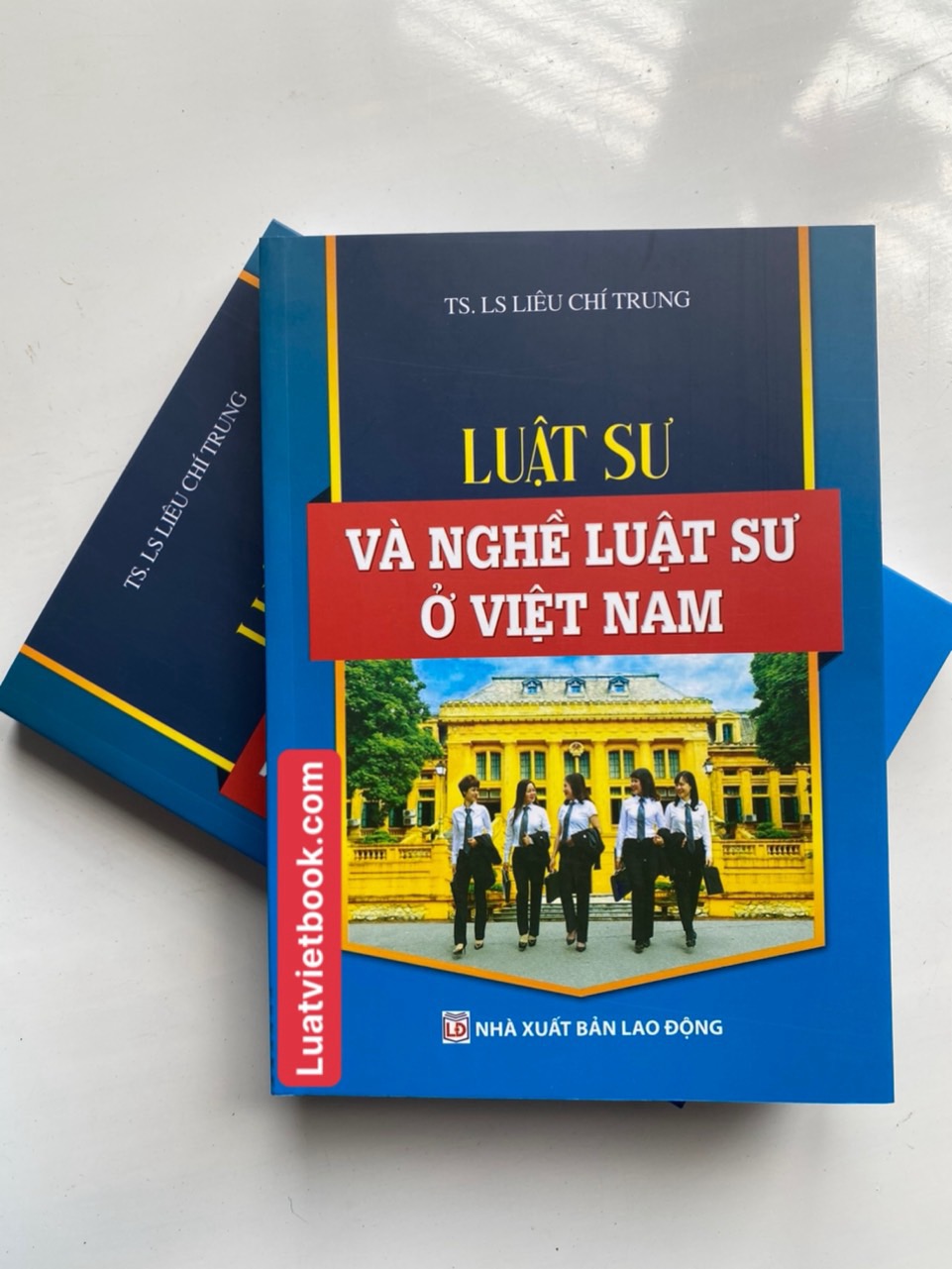 Luật Sư Và Nghề Luật Sư Ở Việt Nam