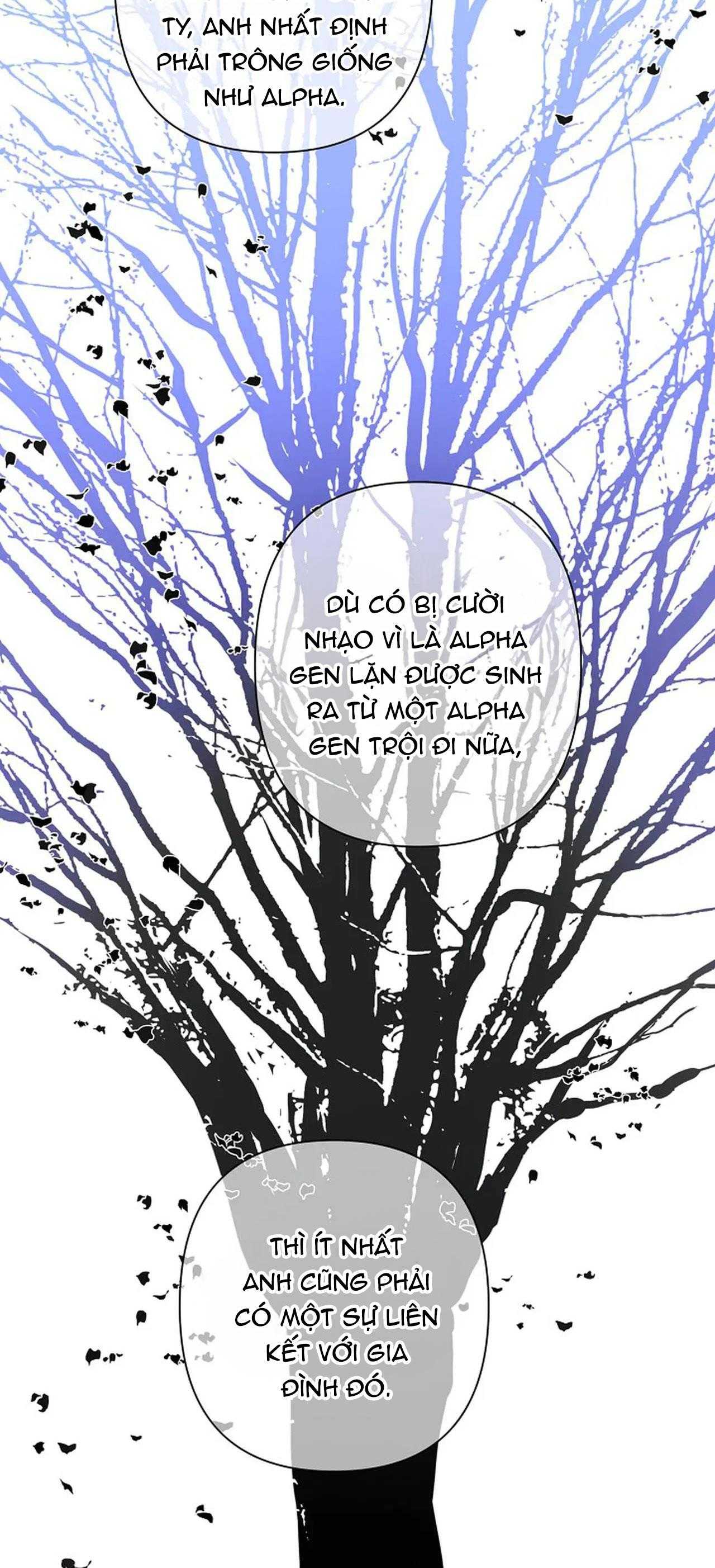 đêm dịu dàng chapter 71 4