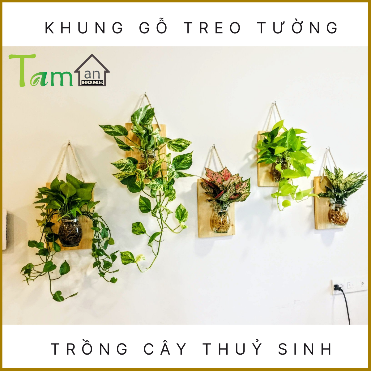 Khung gỗ treo tường chậu trồng cây thủy sinh lọ hoa thủy tinh trang trí nhà cửa ban công