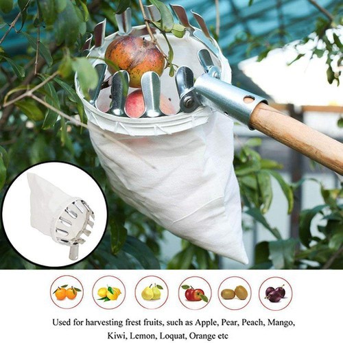 VỢT HÁI QUẢ