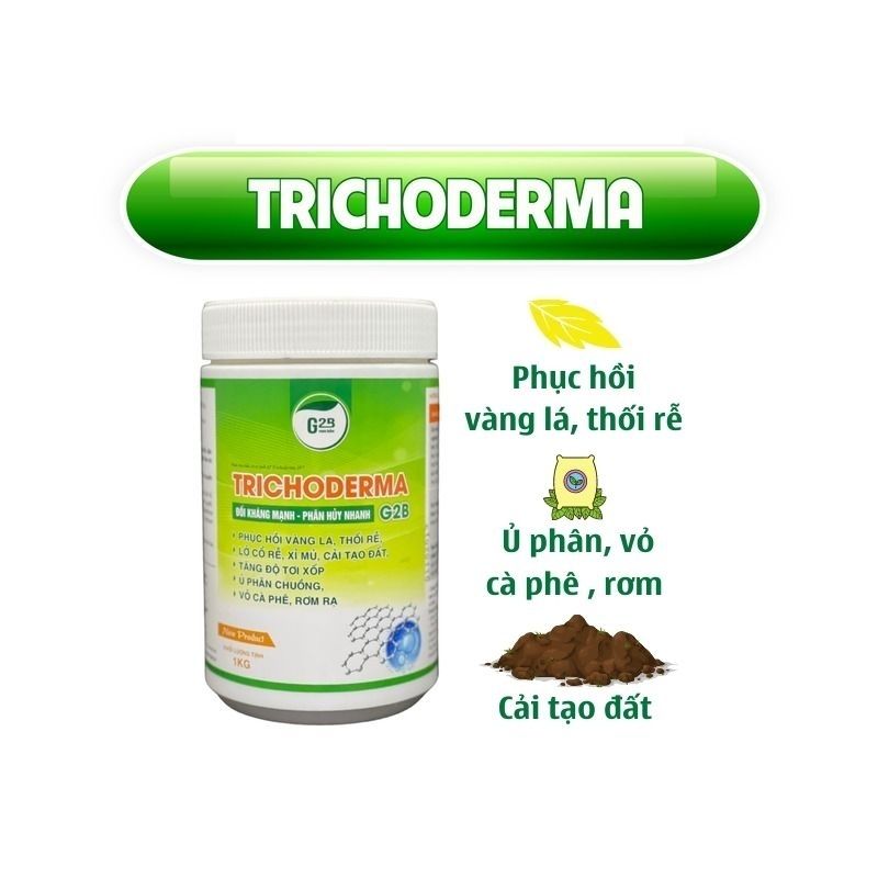 Chế Phẩm Trừ Bệnh Sinh Học Ecom Nấm Đối Kháng Phòng Trừ Bệnh Vàng Lá Thối Rễ, Thán Thư, Héo Rũ, Đốm Lá, Phấn Trắng– Trichoderma 1kg