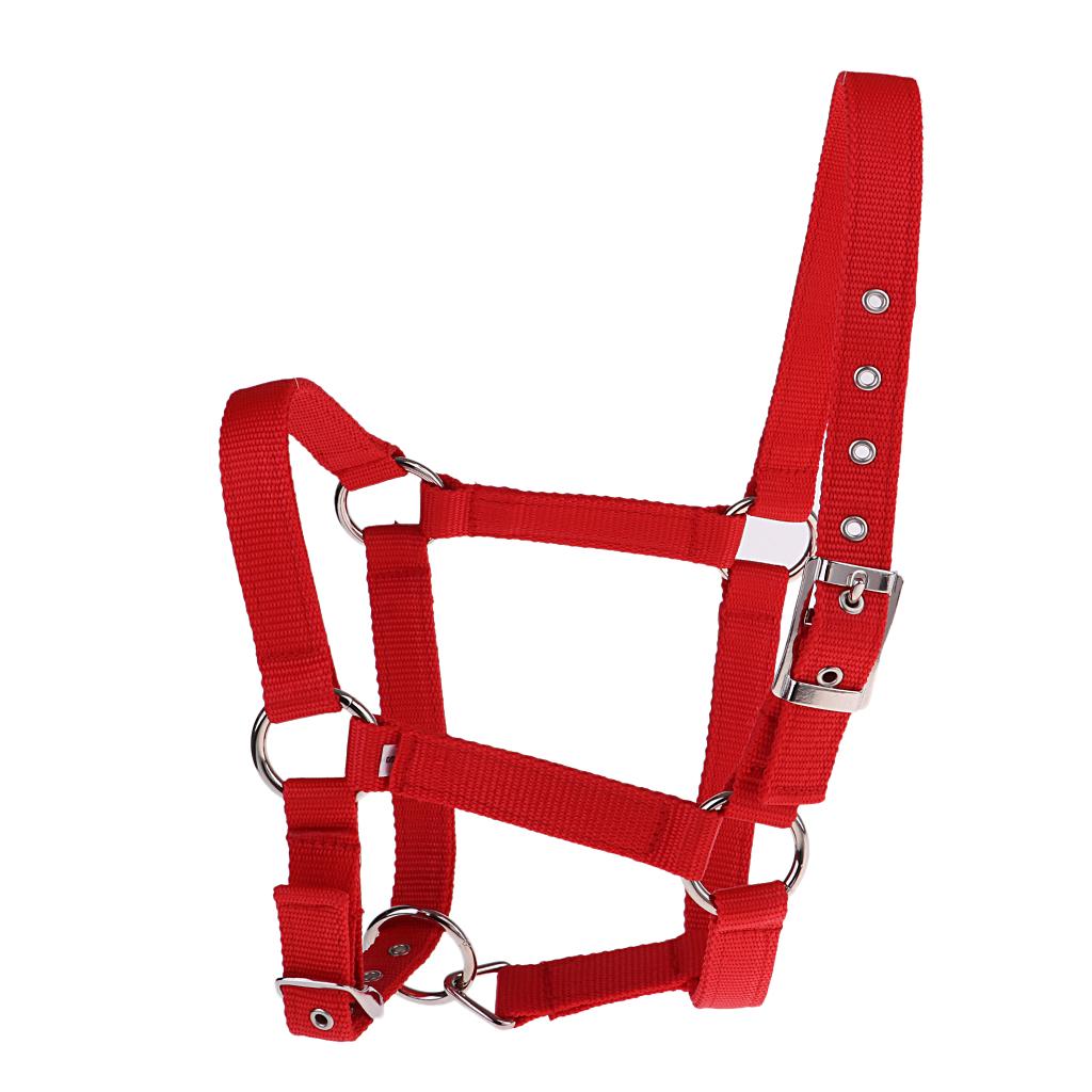 Adjustable Nylon Webbing Equestrian Western Horse Halter Horse Riding Wear Red S