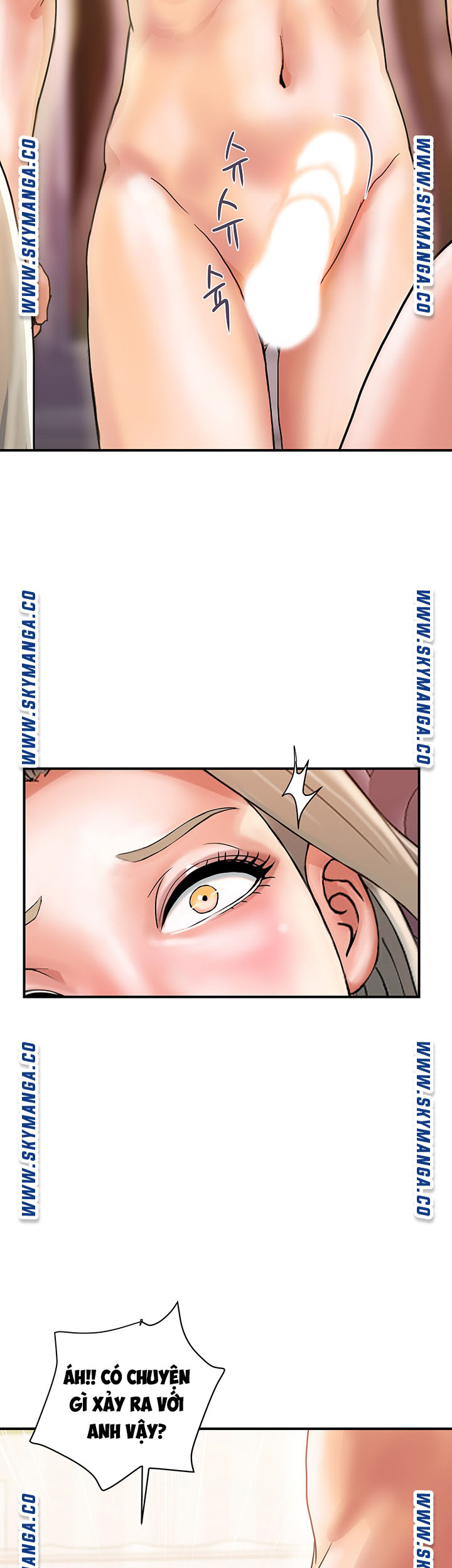 chất dẫn dục chapter 9 35