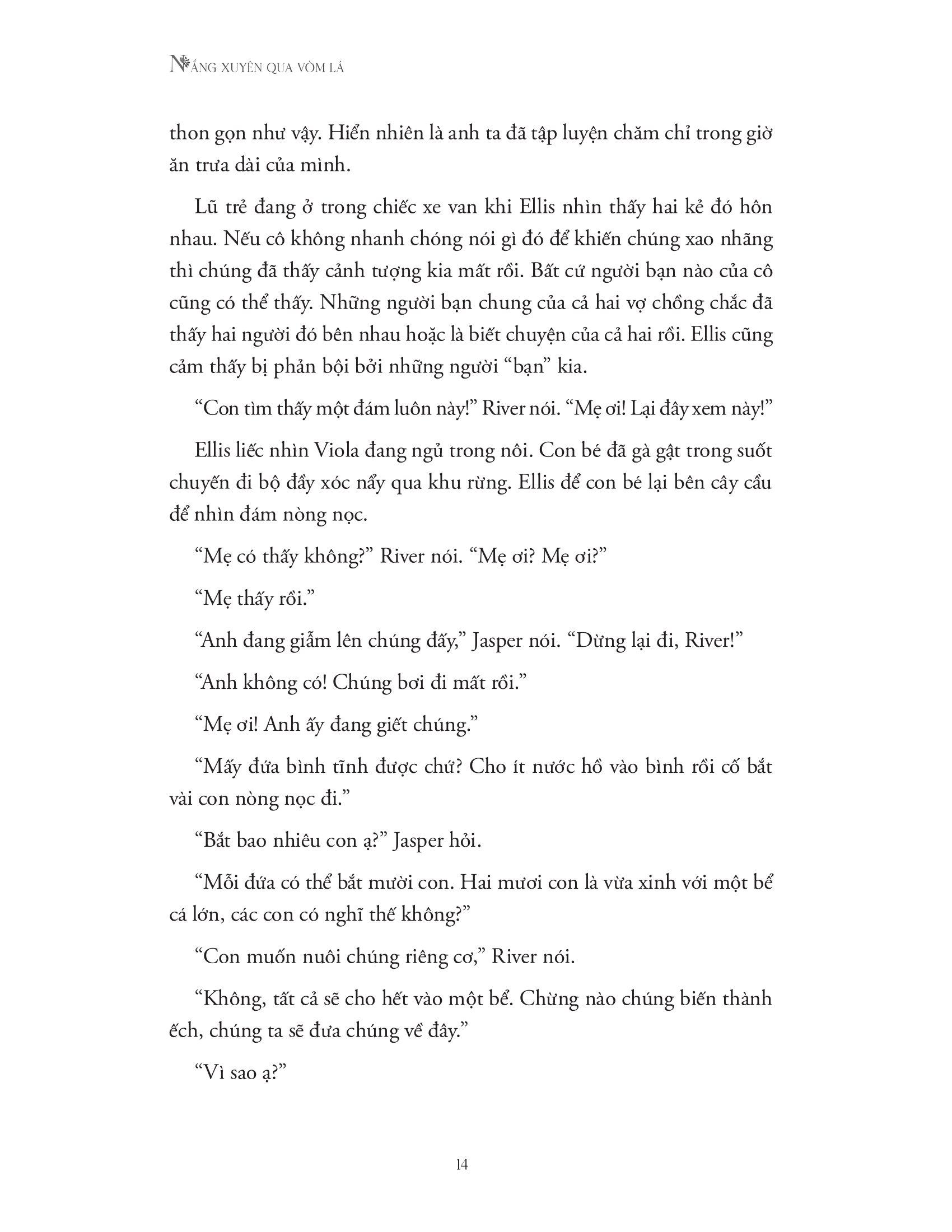 Nắng Xuyên Qua Vòm Lá