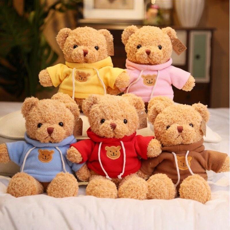 Teddy áo hoodie lông xù cao cấp