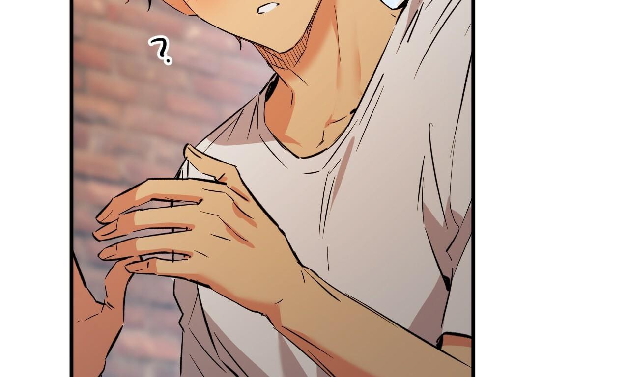 những chú thỏ của hapypy chapter 53 80