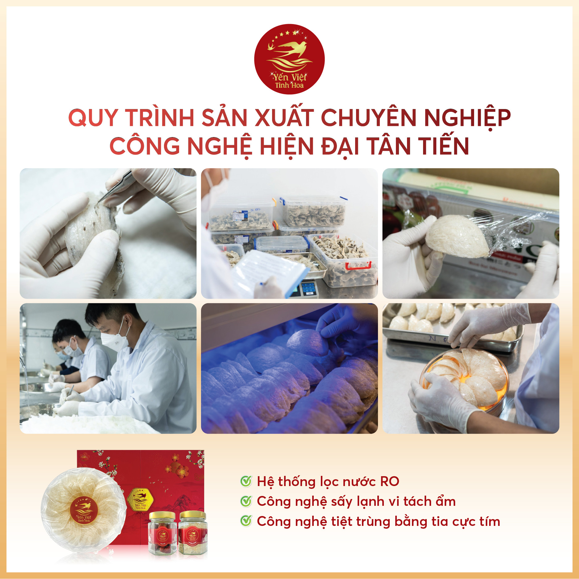 Tổ yến Tinh chế cao cấp 50 gram Yến Việt Tinh Hoa - Hàng chính hãng