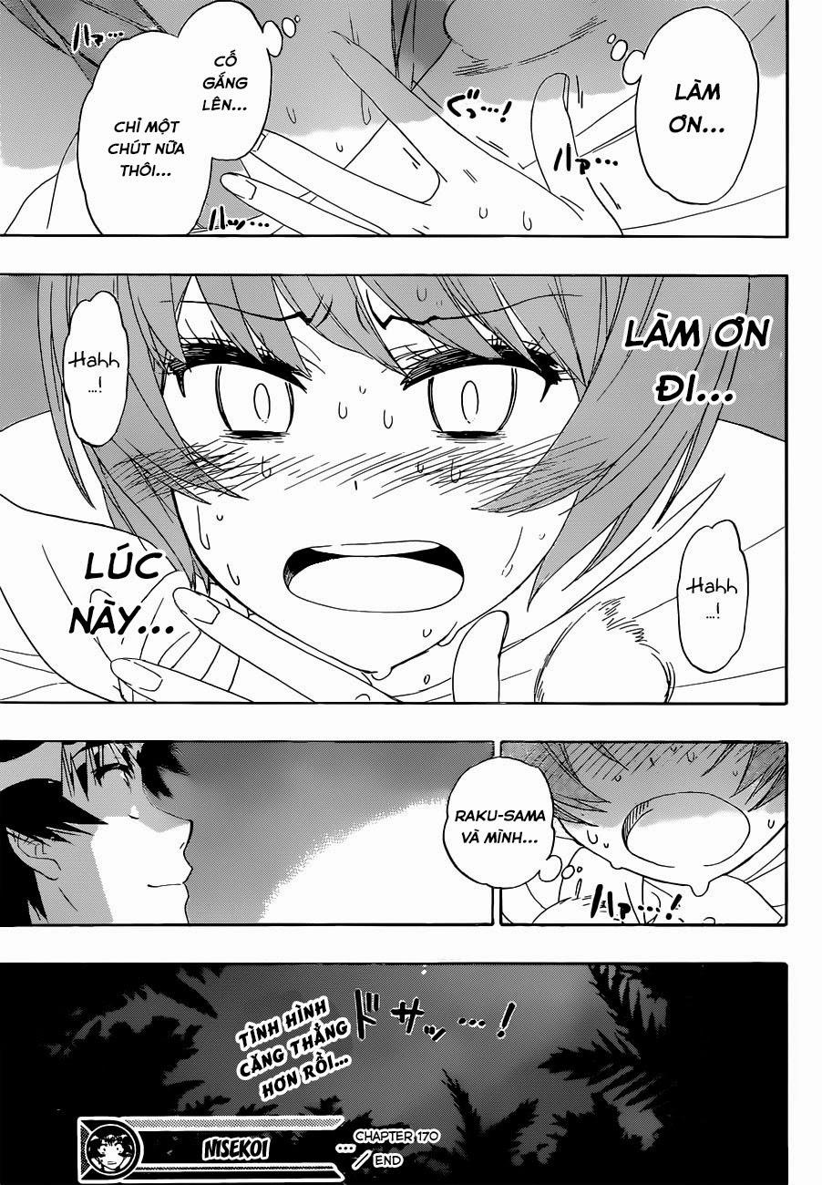 nisekoi - tình yêu giả tạo chapter 170 22