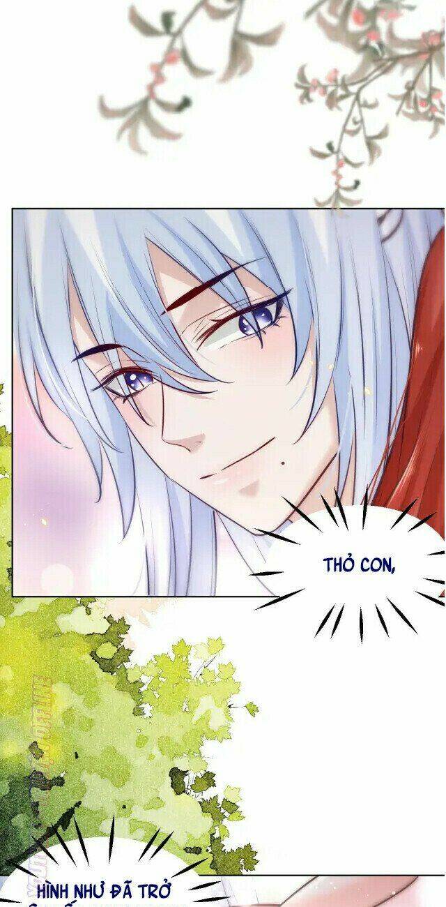 hắc hóa nam chính trực tuyến nuôi thỏ chapter 43 32