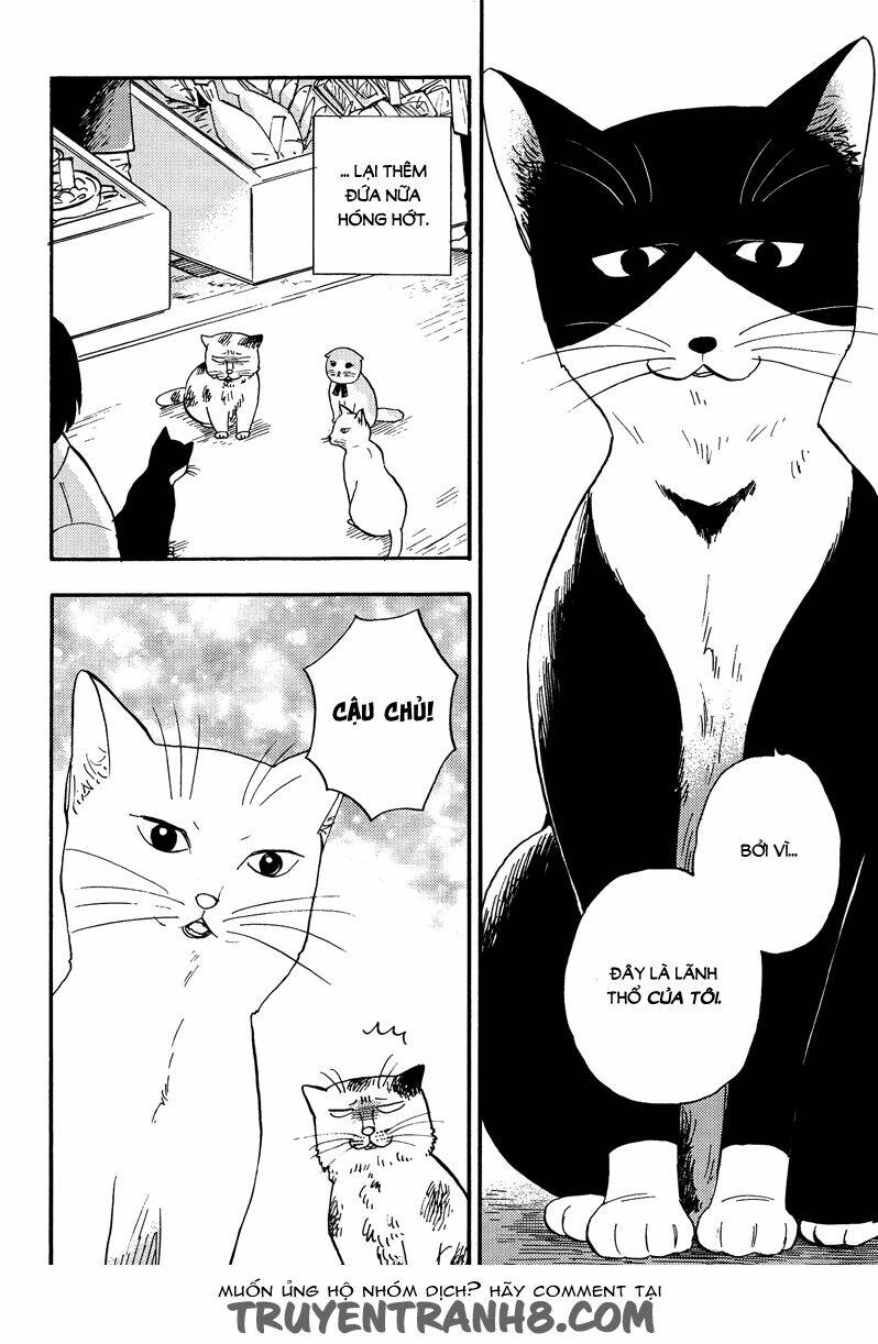 tui là busamen! chapter 3 17