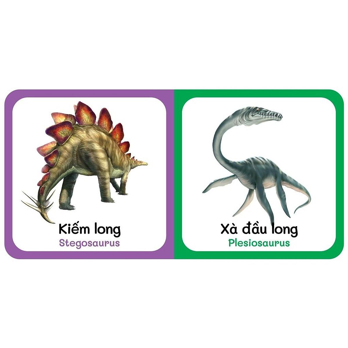 Bộ Hộp Baby's First Picture Dictionary - Từ Điển Bằng Hình Đầu Tiên Của Bé - Dành Cho Bé Từ 0-6 Tuổi - Hộp Vàng - 2022