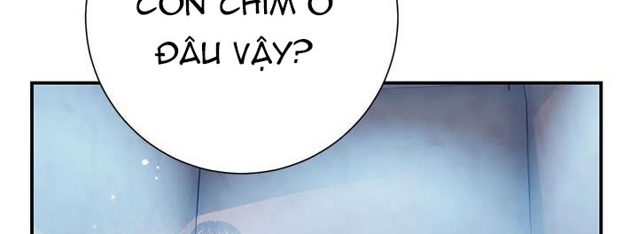 công chúa của loài chim chapter 51.1 206