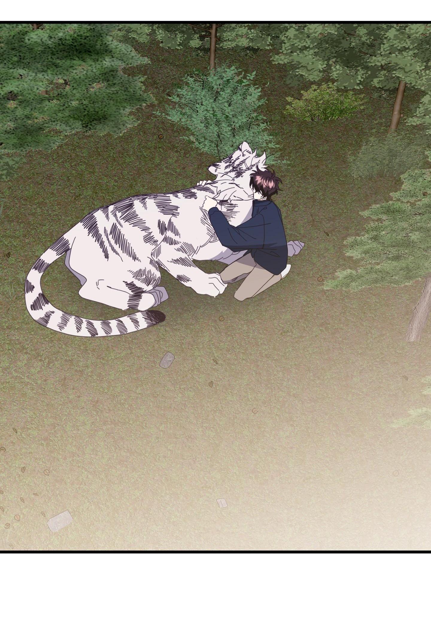 hổ trở về chapter 42 77