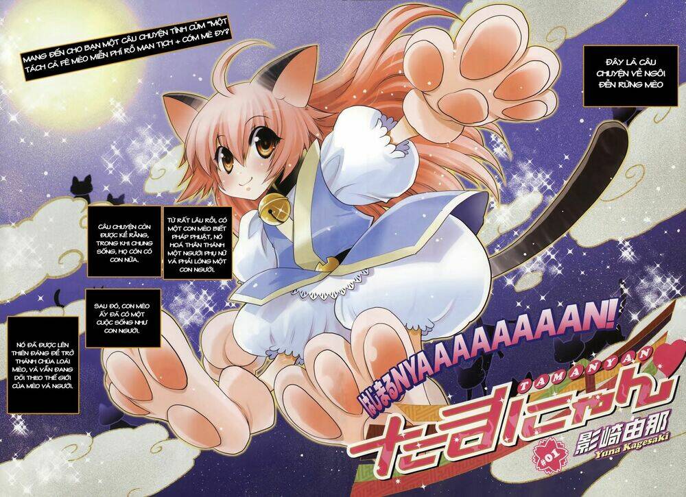 tamanyan chapter 1 2