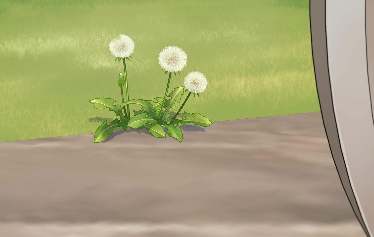 tương phùng chapter 17 52