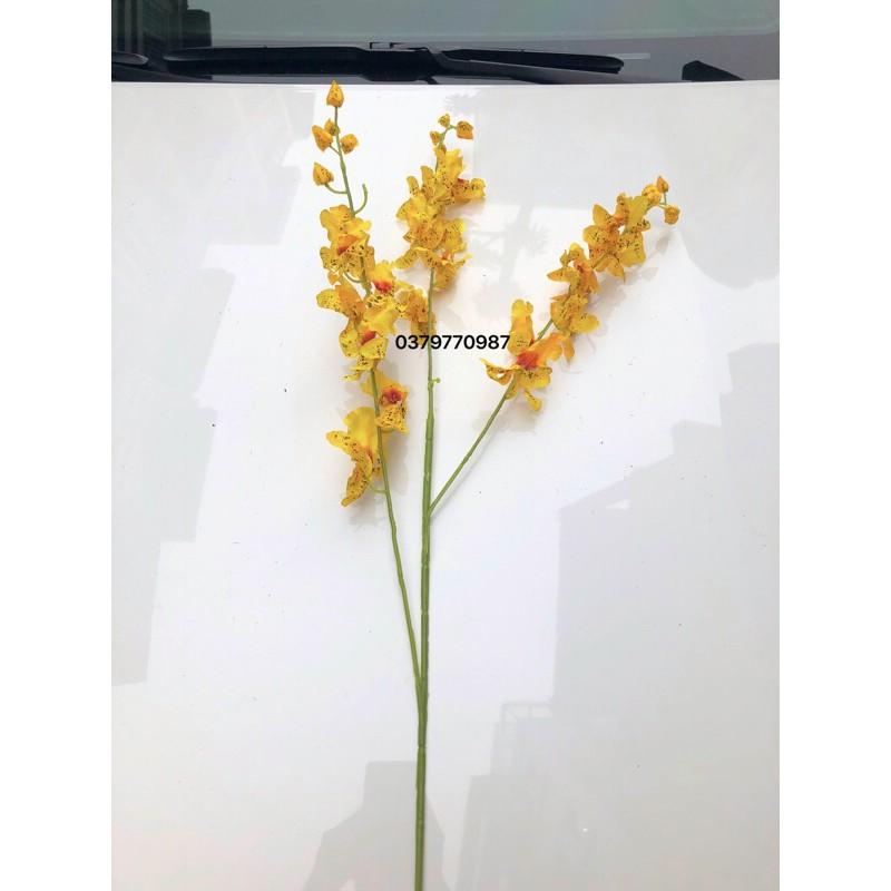 LAN VŨ NỮ trang trí phòng khách