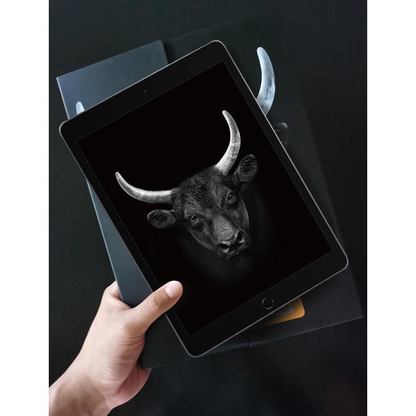 Miếng Dán Cường Lực Dành Cho iPad 10.2 INCH Mipow Kingbull Premium HD (2.7D) Hàng Chính Hãng