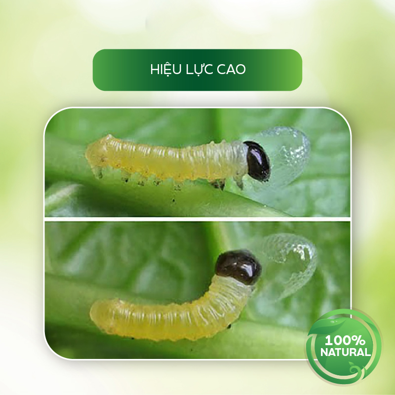 Chế Phẩm Tiêu Diệt Sâu Sinh Học AT Mebe Đậm Đặc 1kg Diệt Trừ Sâu Hại, Rầy Phấn Trắng, Rệp, Bọ Trĩ, Sâu Đục Thân, Bọ Xít