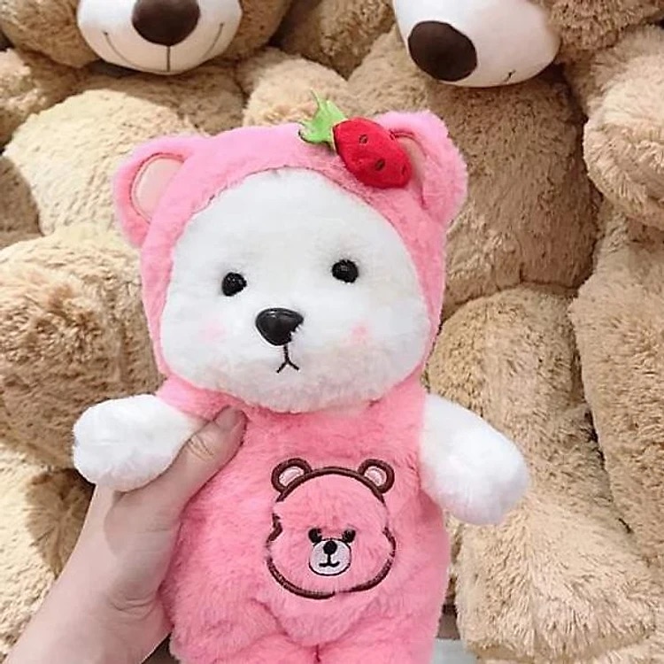Gấu bông Teddy mặc yếm - Size 30cm - Áo có thể cởi ra - Quà tặng gấu bông gấu dâu mặc yếm