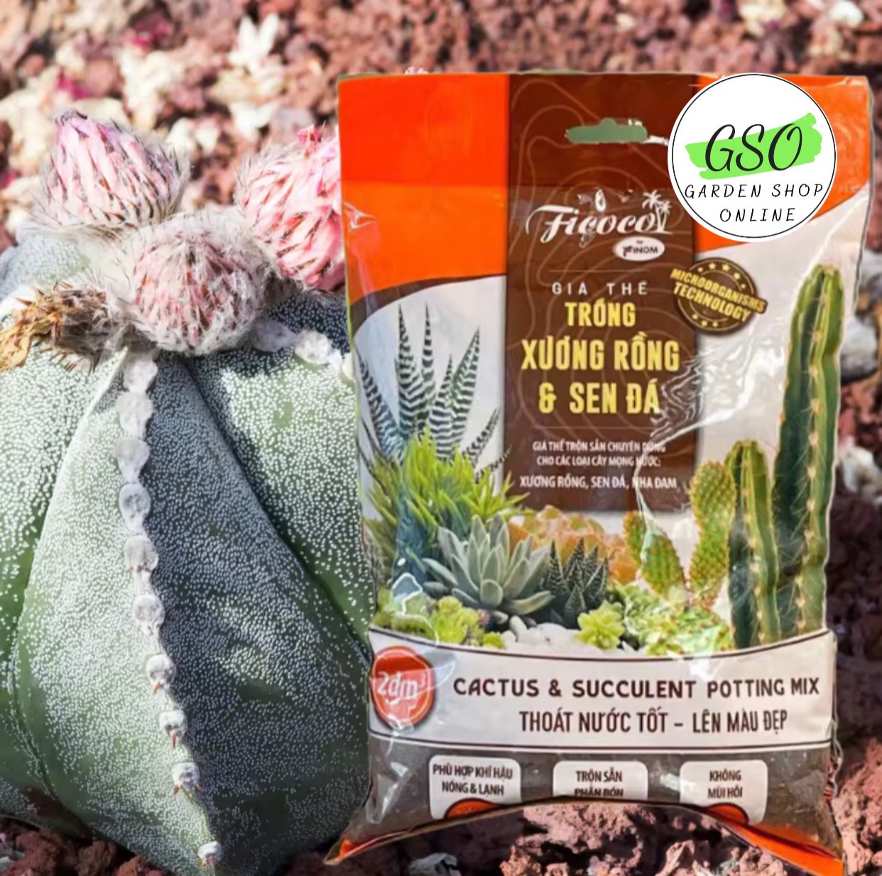 GIÁ THỂ TRỒNG XƯƠNG RỒNG & SEN ĐÁ - FICOCO