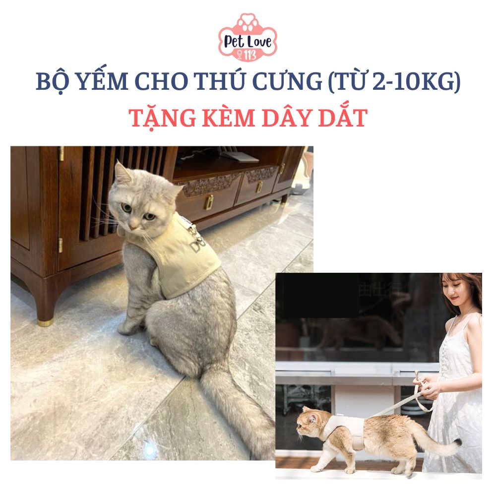 Bộ yếm dắt chó mèo đi dạo, vải kaki kèm dây dắt siêu dễ thương - cho bé từ 2-10kg