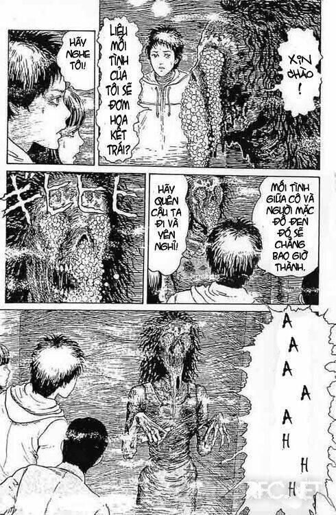 tuyển tập truyện ngắn kinh dị của ito junji chapter 15.5 24