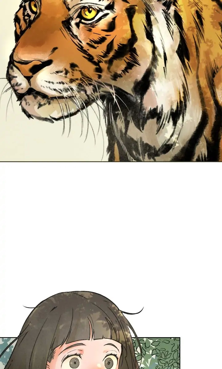 ảo ảnh trong đêm chapter 1.1 10