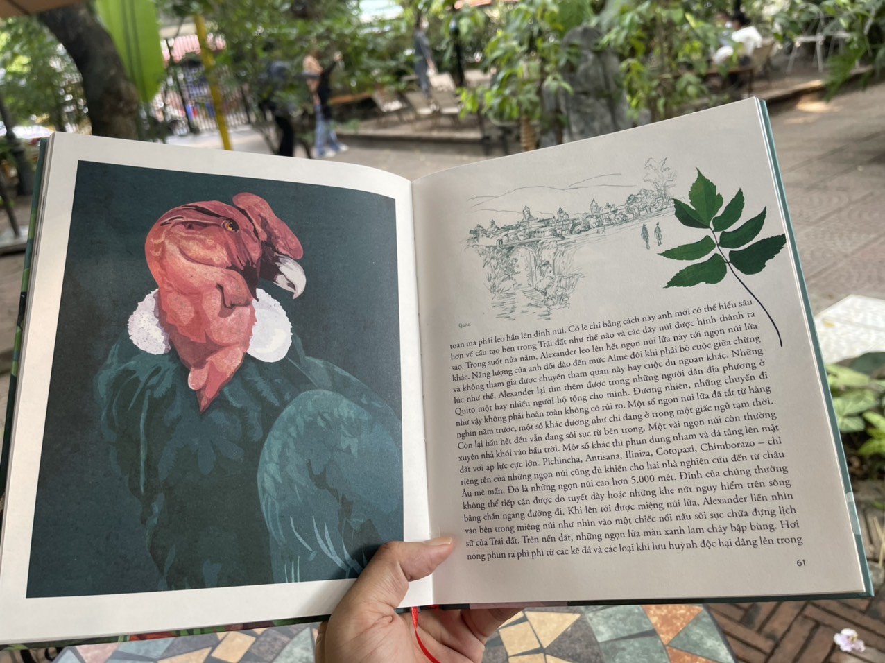 ALEXANDER VON HUMBOLDT - Khao khát khám phá những vùng đất lạ- Volker Mehnert - Đào Minh Khánh dịch – Thái Hà - NXB Hà Nội