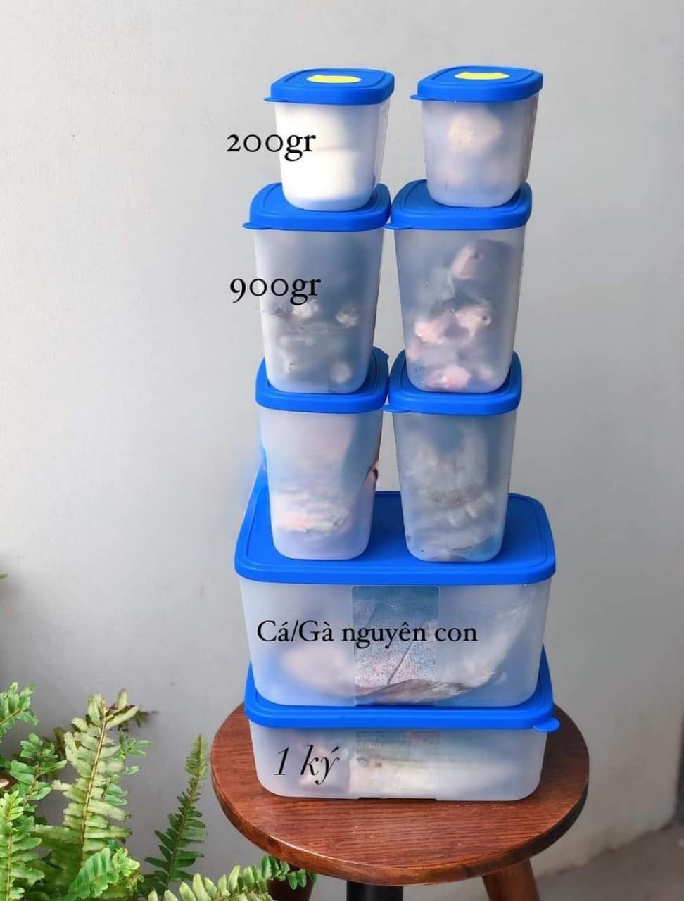 Set Trữ Đông Tupperware Modern 8 Hộp