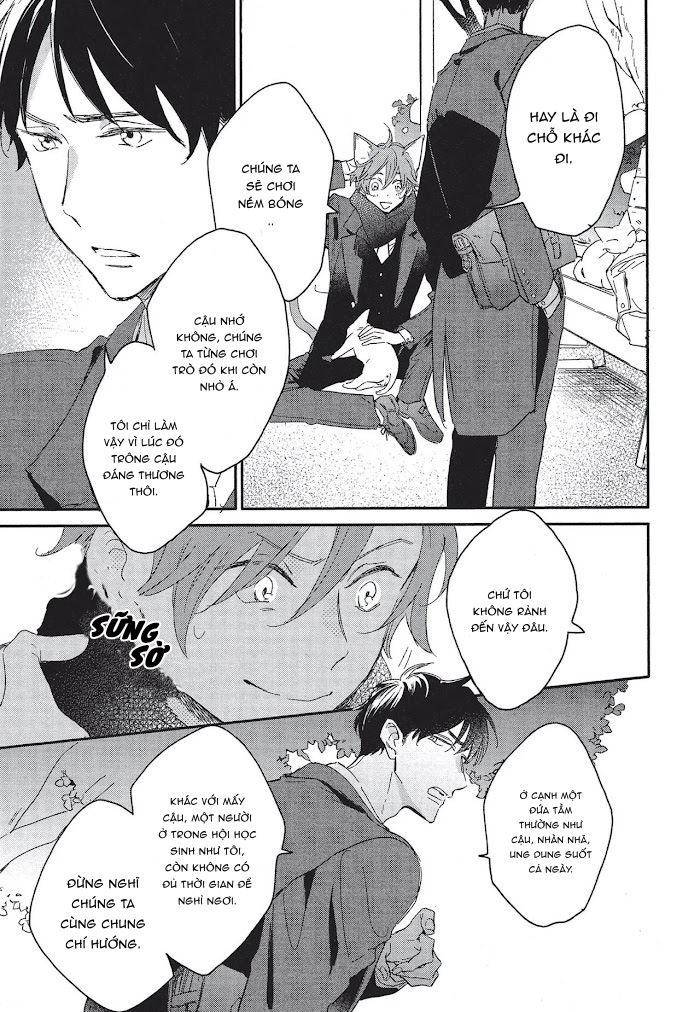 neko to mahou wa kiss de hodokeru chapter 1 7