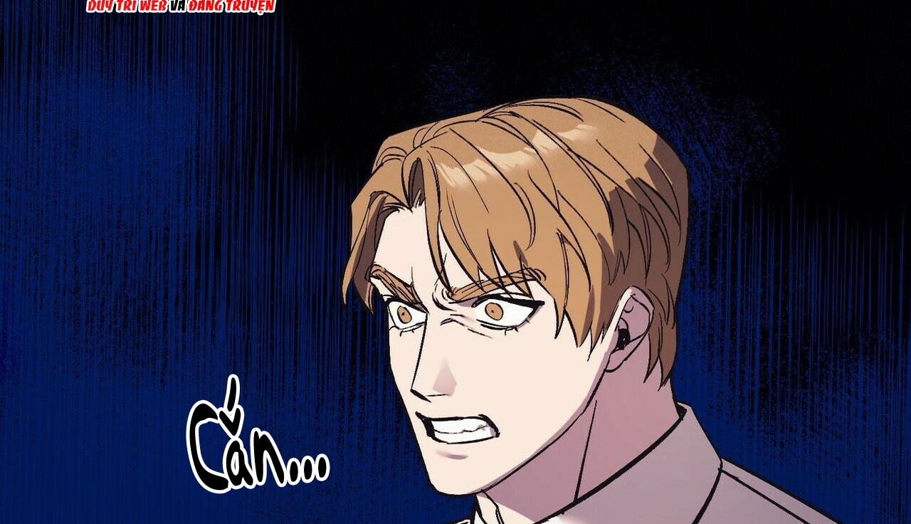 chàng dâu nhà họ kang chapter 11 146