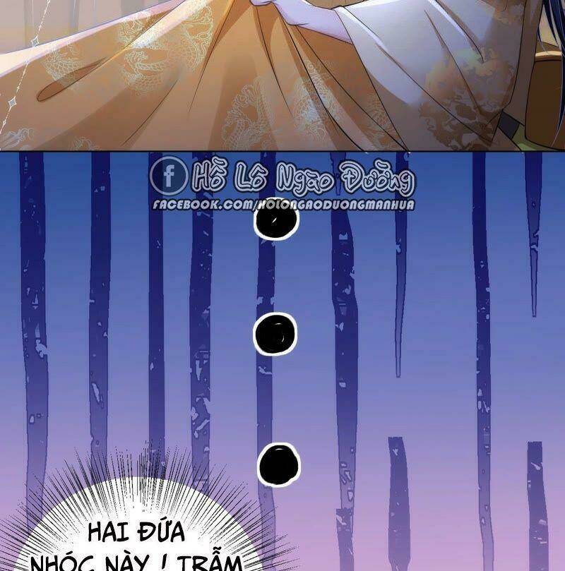 quận chúa vững vàng, thiết lập nhân vật không thể vỡ chapter 36 13