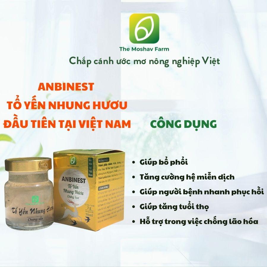 Tổ Yến Nhung Hươu Chưng Sẵn Anbinest - Dành Cho Người Già, Người Ốm (1 Hũ 70ml)