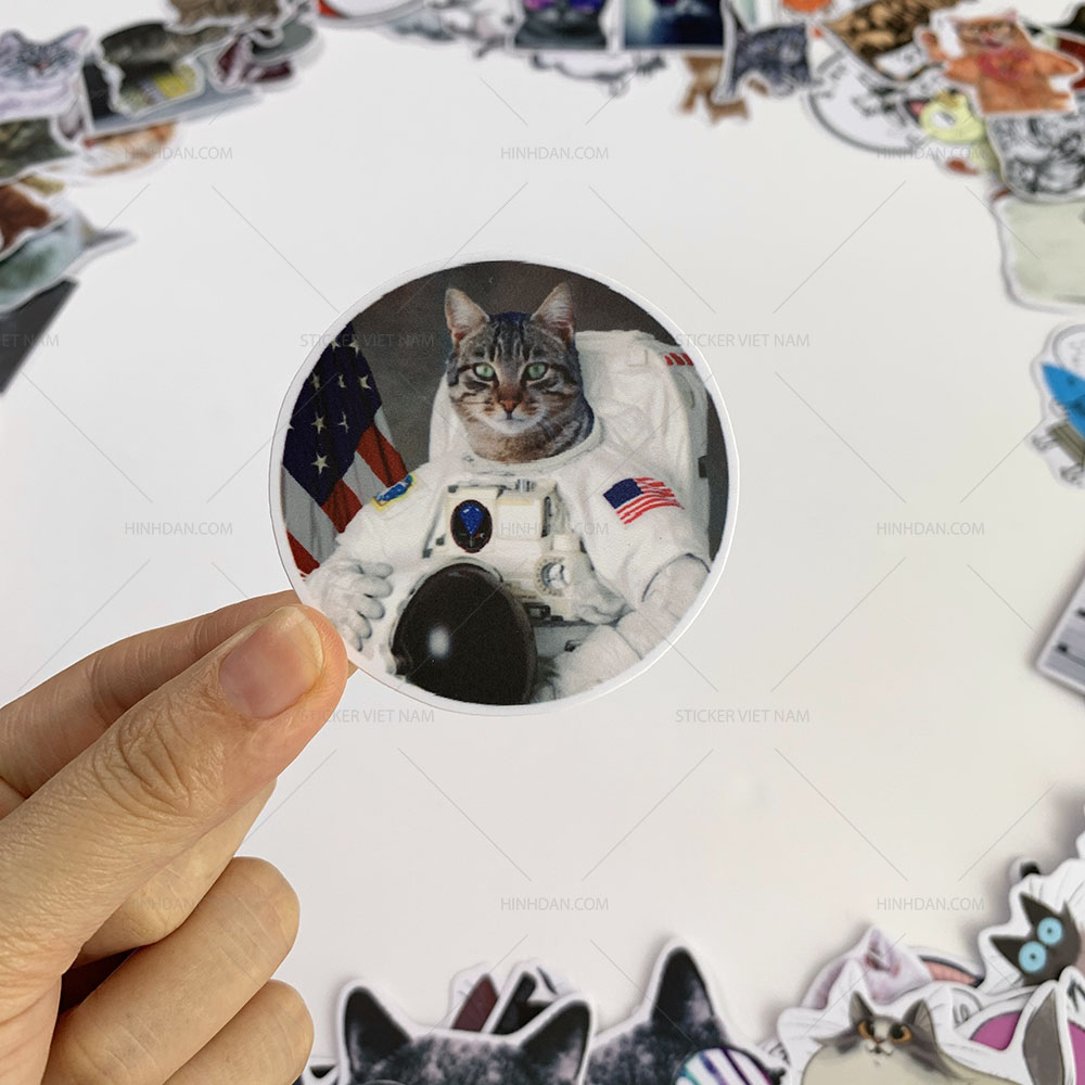 Bộ sticker chủ đề Mèo - Cat - Boss 2019, decal hình dán thú cưng  chống nước, trang trí nón bảo hiểm, điện thoại, lap top