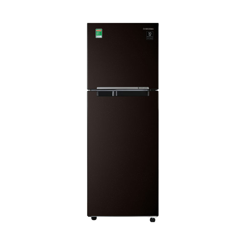 Tủ lạnh Samsung Inverter 236 lít RT22M4032BY/SV Hàng chính hãng