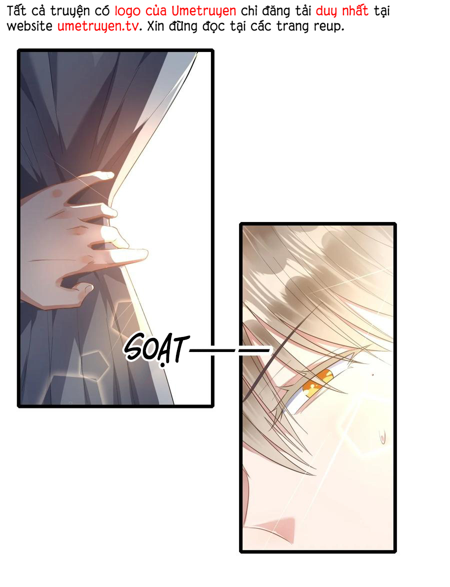 tức thời phạm quy [ tức thì vi quy ] chapter 35 1