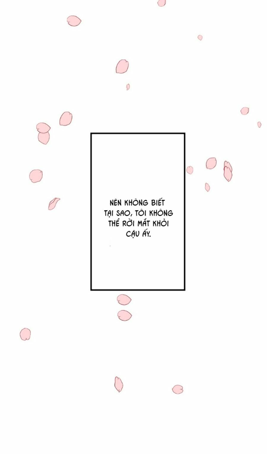 bài ca tình yêu chapter 7 28