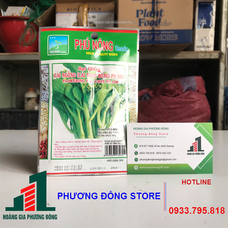 Combo 5-10 gói hạt giống Cải ngọt ăn bông trồng quanh năm, năng suất cao