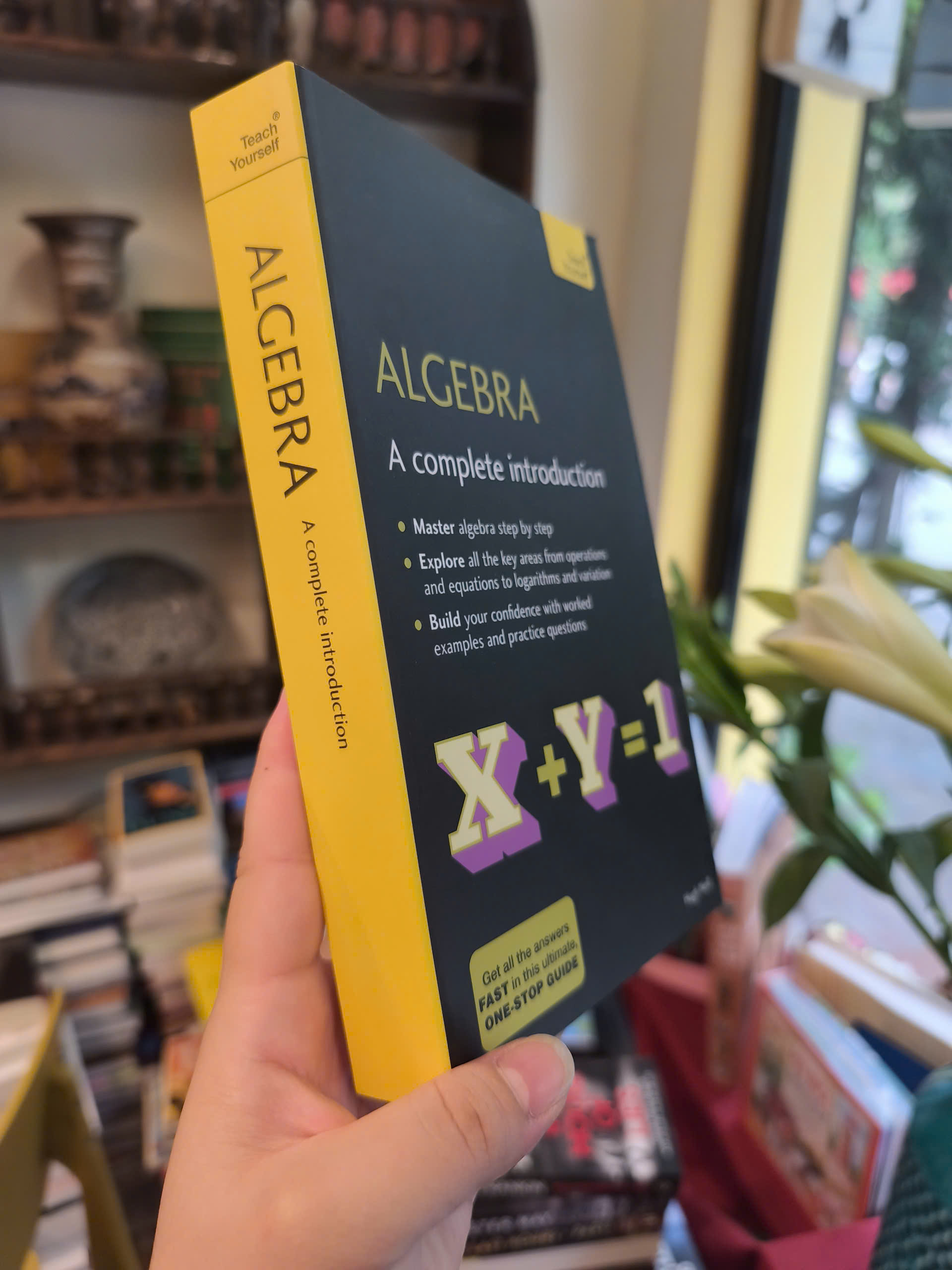 Sách - Teach Yourself Algebra: A Complete Introduction by Hugh Neill | Mathematics / Ngoại văn