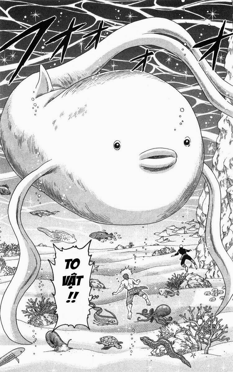 thợ săn ẩm thực chapter 15 14