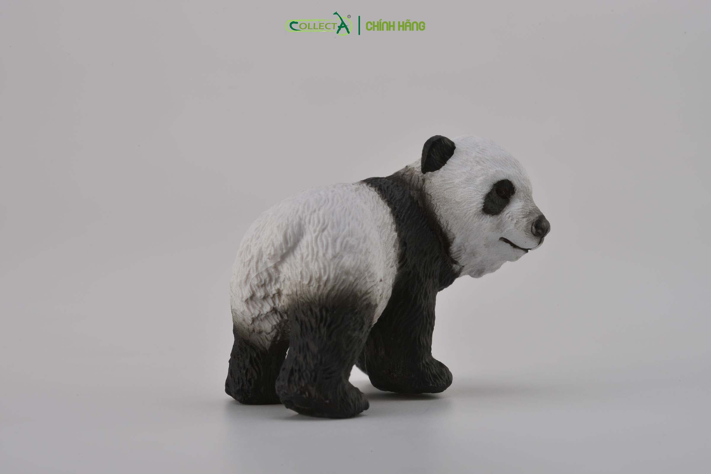Mô hình thu nhỏ: Gấu Trúc con - Giant Panda Cub - Standing, hiệu: CollectA, mã HS 9651221 - Chất liệu an toàn cho trẻ - Hàng chính hãng