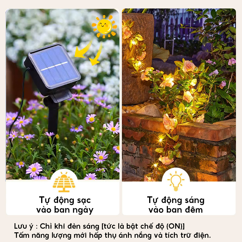 Đèn Trang Trí Năng Lượng Mặt Trời Dây Hoa Hồng, Chiều Dài 7M, 50 Bóng LED, Thắp Sáng Khu Vườn - DA3046
